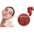 Bayas de Ningxia Goji Secado gou qi zi nutrición Fruto de níspero rojo Barbary wolfberry